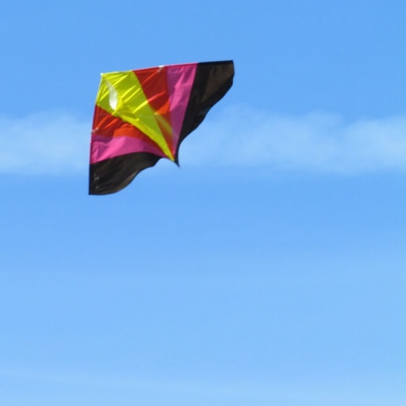 Meet your Posher, Ashton - Picture 1 of 1